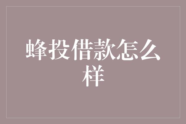 蜂投借款怎么样