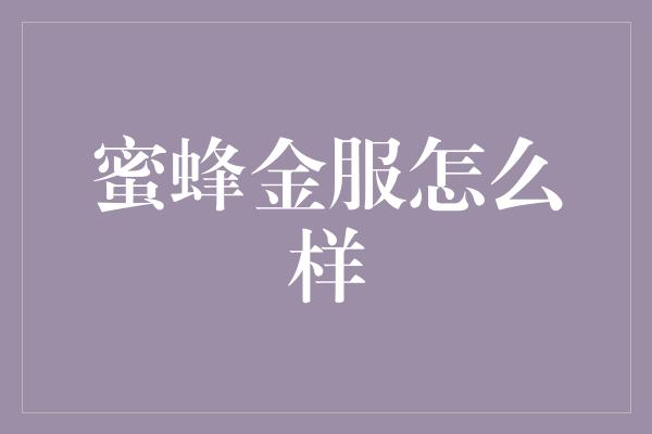 蜜蜂金服怎么样