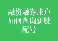 融资融券账户新股配号查询指南