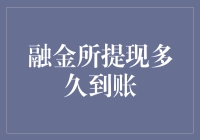 融金所提现到账时间解析：影响因素与优化策略