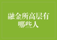 融金所高层架构：引领金融科技浪潮的精英团队