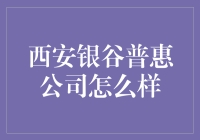 西安银谷普惠金融服务有限公司：积极履行社会责任的金融企业