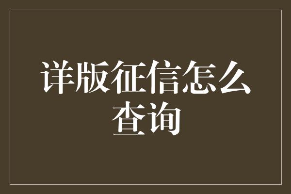 详版征信怎么查询