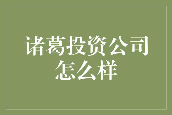 诸葛投资公司怎么样