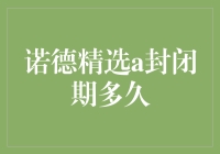 诺德精选A基金封闭期解析与投资策略