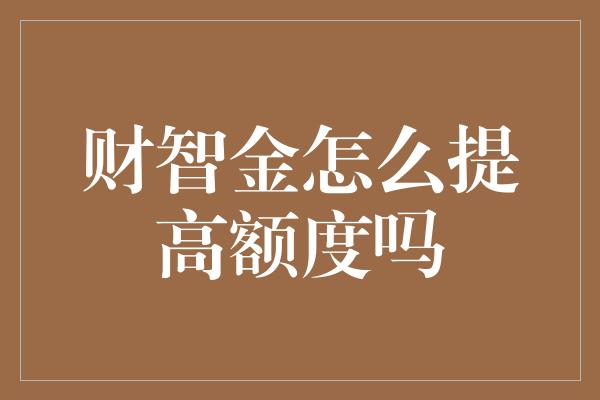 财智金怎么提高额度吗