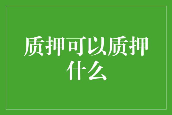 质押可以质押什么