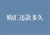 人民币与外币的爱恋：一旦拖欠购汇还款，时间会站在哪一边？