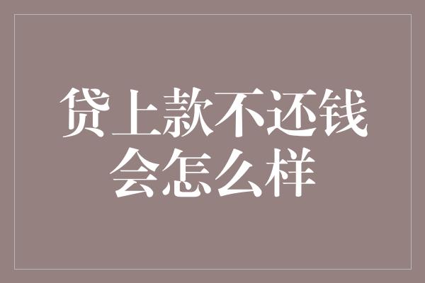 贷上款不还钱会怎么样