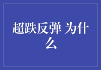 超跌反弹：市场中短暂的光芒