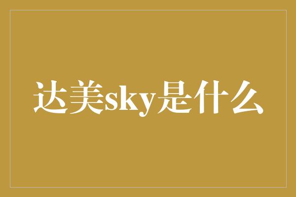 达美sky是什么