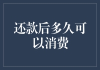 还款后多久可以消费：解锁财富管理新视角