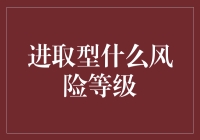 进取型风险等级：一场在投资丛林中的冒险旅行