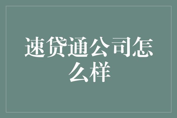 速贷通公司怎么样