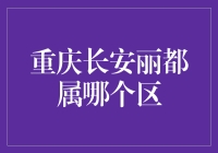 重庆长安丽都：一场关于我都哪区人的哲学辩论