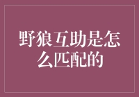 野狼互助：一种新颖的人际关系匹配机制