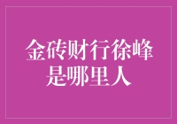 金砖财行徐峰是哪路神仙？