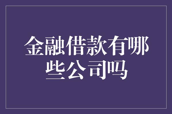 金融借款有哪些公司吗