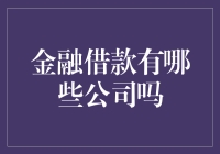 金融借款公司：理解贷款市场的多元选择