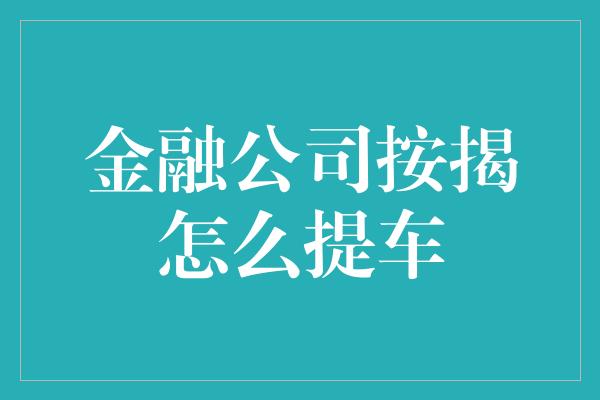 金融公司按揭怎么提车