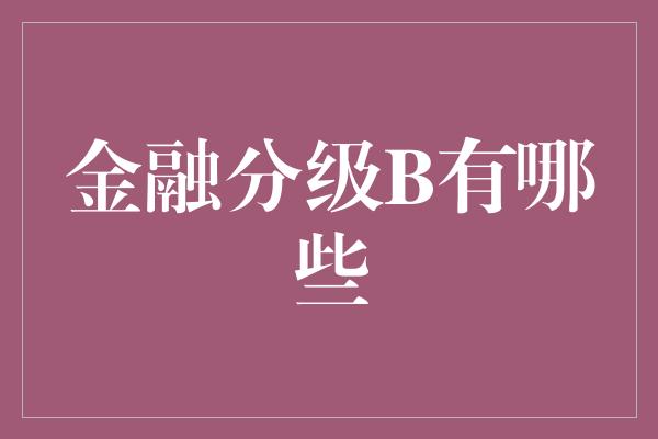 金融分级B有哪些