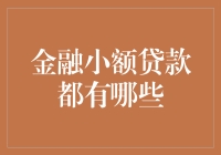 金融小额贷款：小微企业和个人发展的绿色通行证