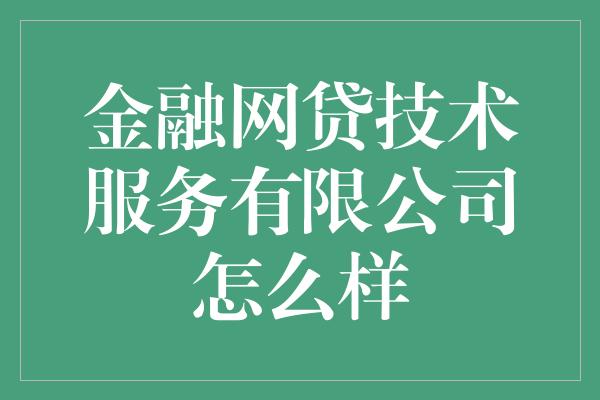 金融网贷技术服务有限公司怎么样