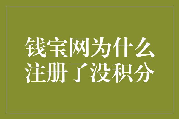 钱宝网为什么注册了没积分