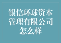 银信环球资本管理有限公司实力解析：专业服务与价值创造