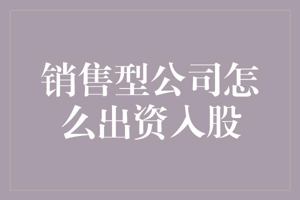 销售型公司怎么出资入股