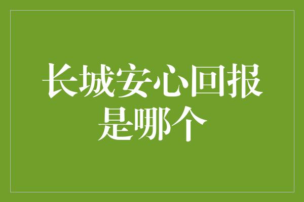 长城安心回报是哪个