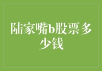 陆家嘴B股票市场价值分析与投资策略探索