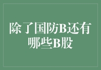 中国B股市场概览：除了国防B，还有哪些B股值得关注？