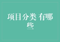 项目分类：解析五大常见项目类型及其应用