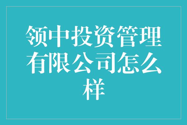 领中投资管理有限公司怎么样