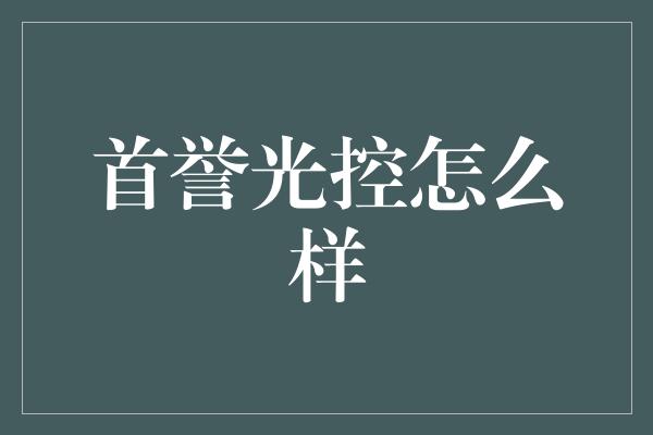 首誉光控怎么样