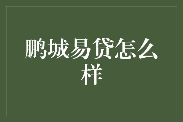 鹏城易贷怎么样