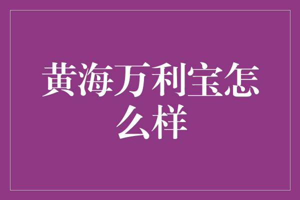 黄海万利宝怎么样