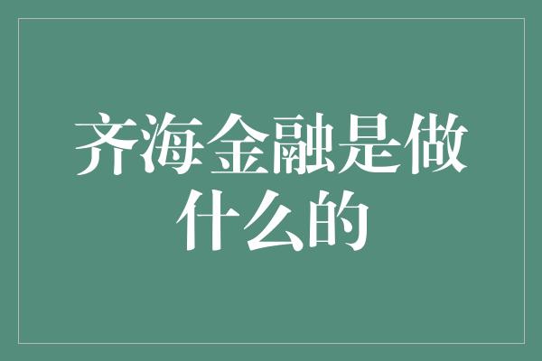 齐海金融是做什么的