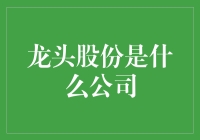 龙头股份的企业转型与发展：从纺织工业到体育用品巨头