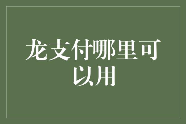 龙支付哪里可以用