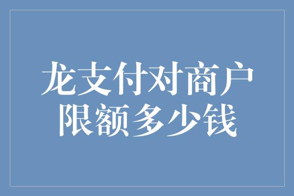 龙支付对商户限额多少钱