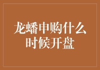 龙蟠申购：掘金2023年资本市场的契机