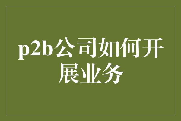 p2b公司如何开展业务