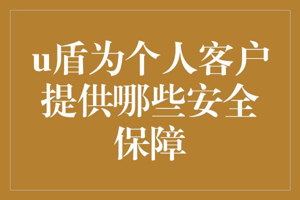 u盾为个人客户提供哪些安全保障