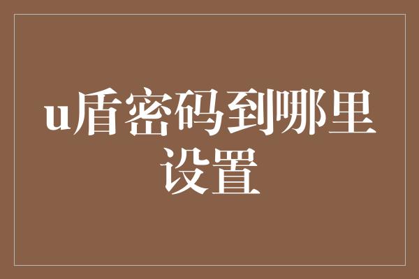 u盾密码到哪里设置