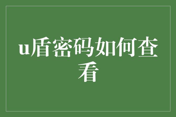 u盾密码如何查看