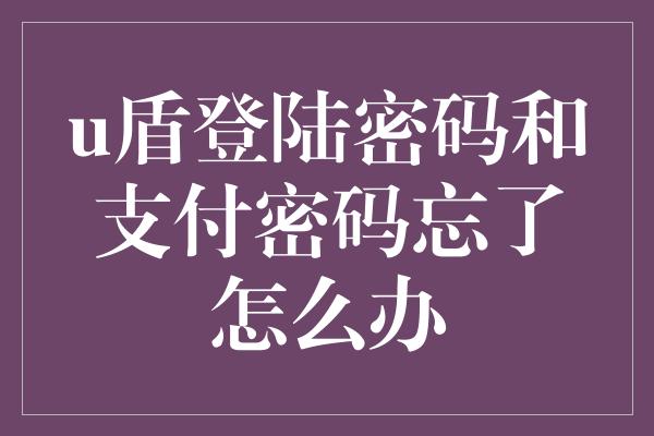 u盾登陆密码和支付密码忘了怎么办