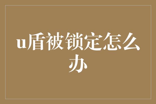 u盾被锁定怎么办