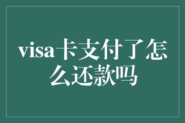 visa卡支付了怎么还款吗